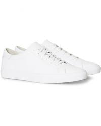 Polo Ralph Lauren Jermain II Sneaker White