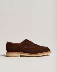 Sanders Archie Gibson Suede Derby Polo Snuff