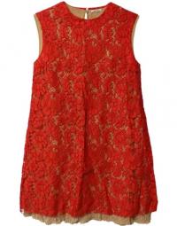 Miu Miu Lace Shift Dress in Red Cotton