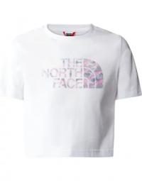 THEORTH FACE T-shirts and Polos
