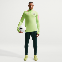 Maskinstrikkede Nigeria Strike Nike Dri-FIT-fodboldbukser til mænd - grøn
