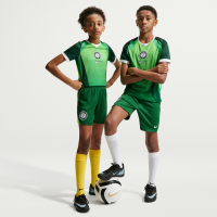 Nigeria 2026 Stadium Home Nike Dri-FIT-fodboldreplika-shorts til større børn - grøn