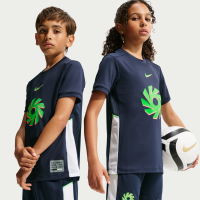 Erling Haaland Academy Nike Dri-FIT-fodboldtrøje til større børn - blå
