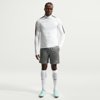 Nike Strike Dri-FIT-fodboldshorts til mænd - grå