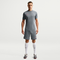 Nike Academy Nike Dri-FIT-fodboldshorts til mænd - grå