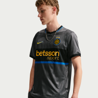 Inter Milan 2026/27 Stadium Third Nike Dri-FIT Replica-fodboldtrøje til mænd - grå