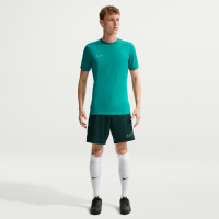Nike Academy Nike Dri-FIT-fodboldshorts til mænd - grøn