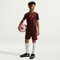 Nike Academy+ Dri-FIT-fodboldshorts til større børn - lilla
