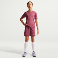 Nike Academy Dri-FIT 4