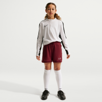 Nike Academy Dri-FIT 4