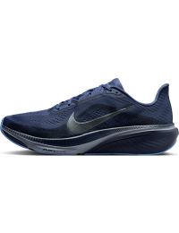 Nike Pegasus 42-løbesko til vej til mænd - blå