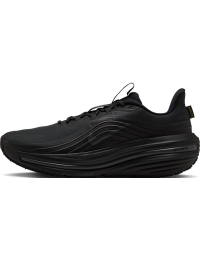 Vandtætte Nike Winflo 12 GORE-TEX-løbesko til vej til mænd - sort