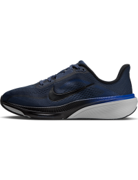 Nike Pegasus 42-løbesko til vej til større børn - blå