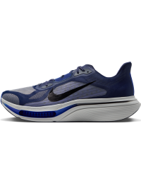 Nike Pegasus Plus 2-løbesko til vej til mænd - blå