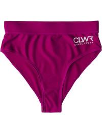 ColourWear Women's High Waist Bikini Bottom Purple