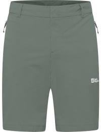 Jack Wolfskin Men's Hikeout Shorts Slate Green