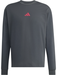 Adidas Unisex Running State of Mind Graphic Long Sleeve T-shirt Carbon/soltur