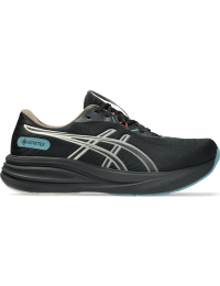 Asics Men´s Gel-Pulse 17 GORE-TEX Black/light Dust